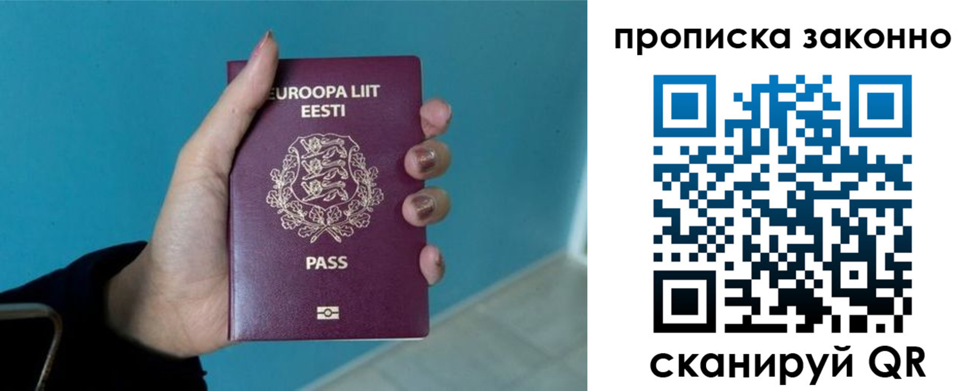 прописка гарантия в Светлограде
